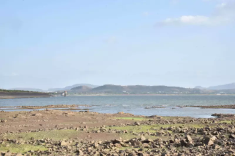 Nashik to face weekly water cuts starting June 20 amid delayed monsoon