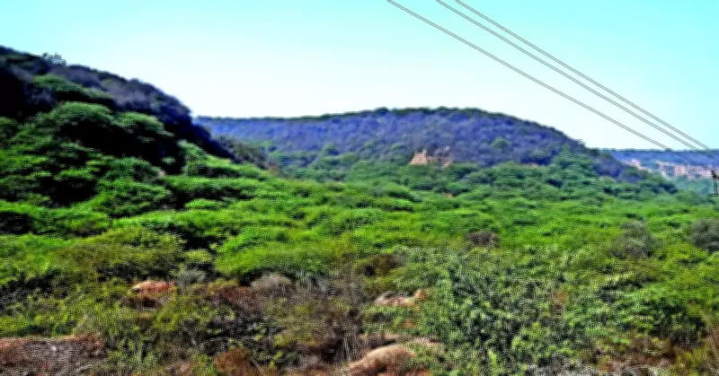 NCR Plan 2021 Restores NCZ, Board to Fast-Track Aravali Mapping