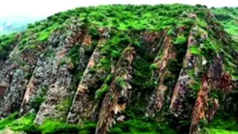 NCR Plan 2041 Retains Natural Conservation Zone for Aravali Protection