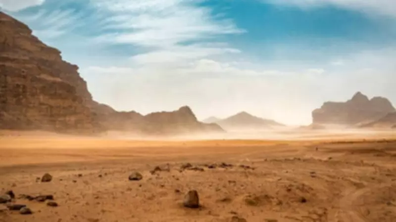 Nearly 50 Bodies Found Under Broken-Down Truck in Sahara Desert