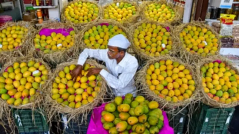 Nepal Government Restricts Mango Imports from India Over Pesticide Concerns