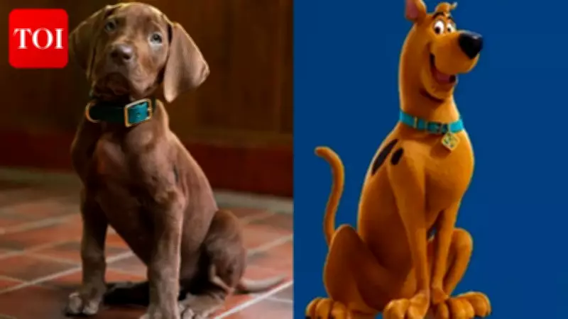 Netflix Unveils First Look at 'Scooby-Doo: Origins' Live-Action Series