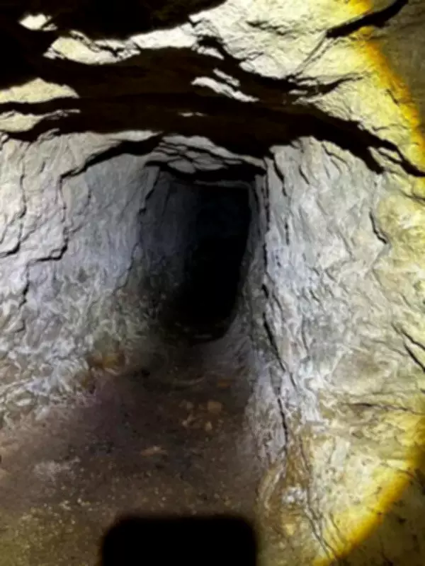 New Cricket Species Named After Tolkien's Balrog Found in Greek Military Tunnel