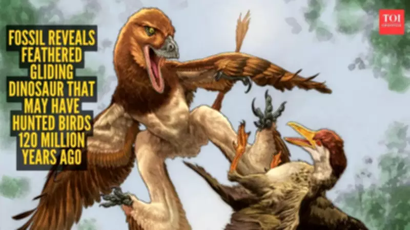 New Feathered Dinosaur Species Discovered in China May Have Glided and Hunted Ancient Birds