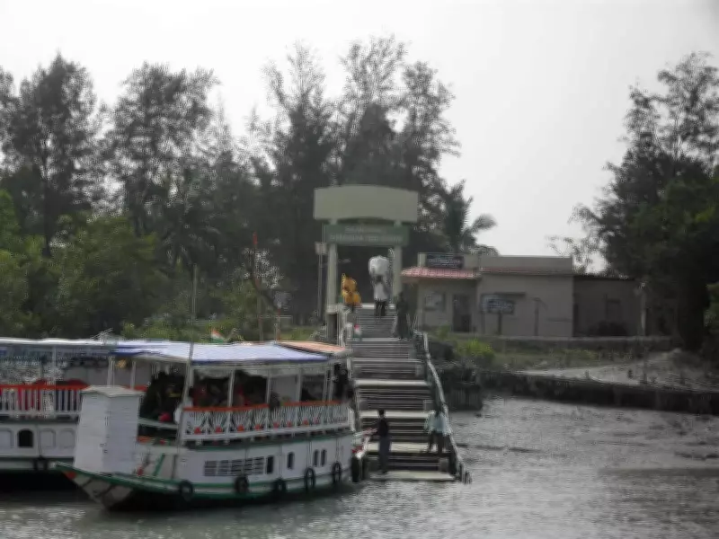 New Guide Rule in Sundarbans Tiger Reserve Sparks Confusion and Protests