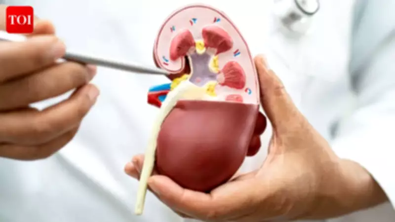 New Hope for Chronic Kidney Disease: Drug Finerenone Shows Benefits Beyond Diabetes