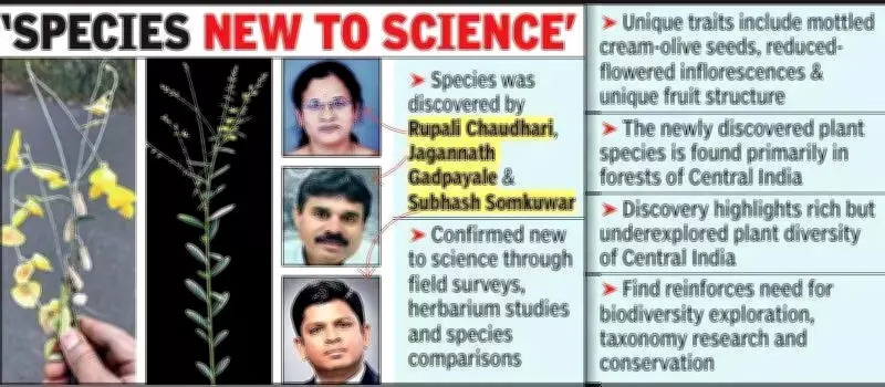 New Plant Species Crotalaria Phulei Named After Savitribai Phule Discovered in Nagpur