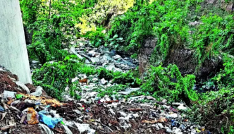 NGT Orders Chandigarh to Fix Waste and Sewage Gaps to Stop Water Pollution