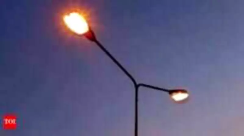 NHAI Sanctions ₹3.6 Crore for Streetlights on Trichy-Thanjavur Highway