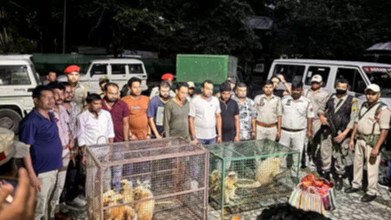 Nine Arrested for Smuggling Endangered Golden Langurs in Assam