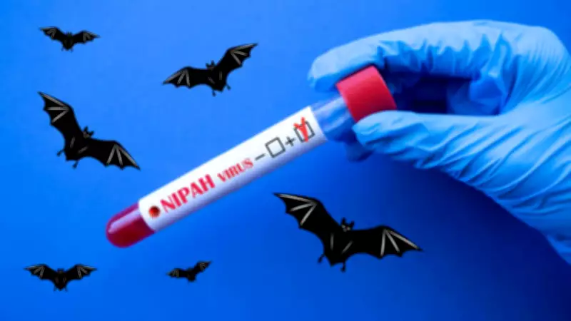 Nipah Virus Case Confirmed in Kerala: Symptoms, Spread, and Prevention Tips