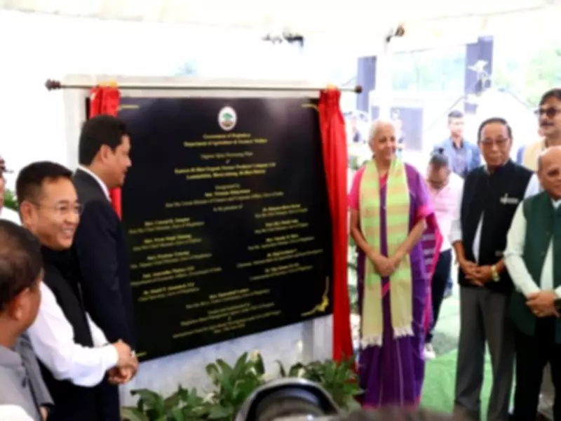 Nirmala Sitharaman Opens Largest Organic Spice Processing Unit in North East