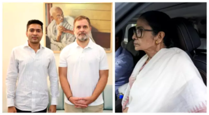 No Merger: Congress, TMC After Abhishek Meets Rahul; Mamata Fights to Survive