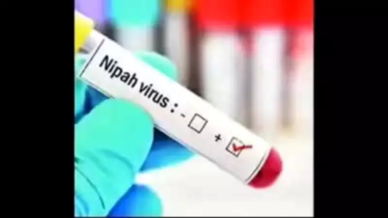 No New Nipah Cases in Kozhikode, Three Admitted for Observation