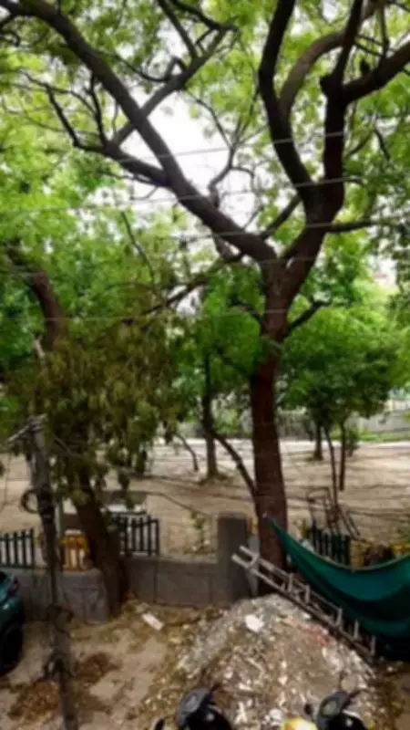 Noida Police Adopts Park in Sector 19 to Curb Illegal Activities