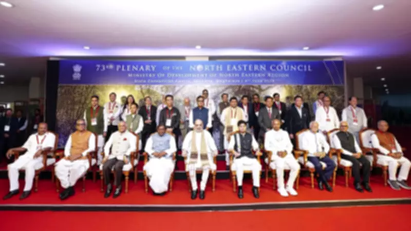 Northeast CMs raise influx, development issues with Amit Shah at NEC meet