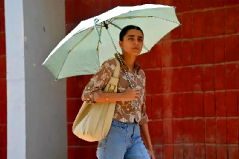 Northern India Heatwave Days Quadruple in a Decade, Experts Warn of Indoor Risks