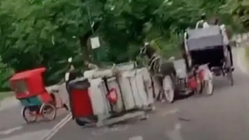 NYC Horse Carriage Ban Bill Renamed After Indian Teen Killed in Central Park