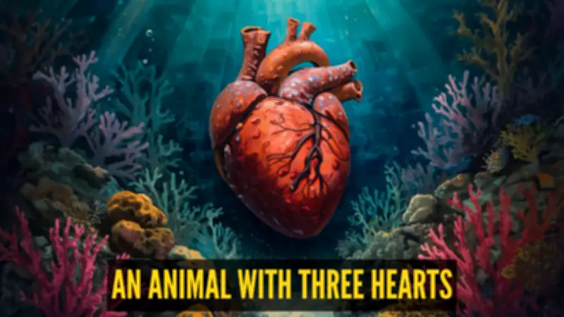 Octopus Has Three Hearts: The Secret of Their Blue Blood Explained