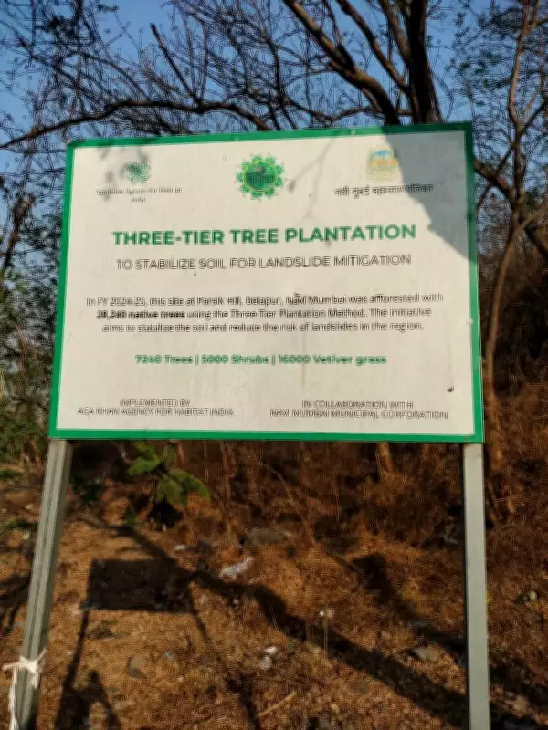 Only 50% of 28,000 saplings survive on Parsik Hill in Navi Mumbai