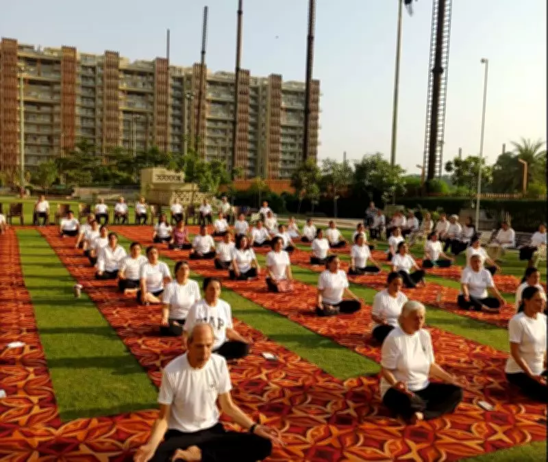 Over 120 Residents Celebrate International Yoga Day in Mohali with Enthusiasm