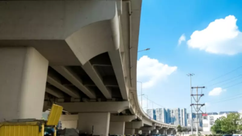 Over 749 trees at risk for Bengaluru's Indiranagar flyover, not 89