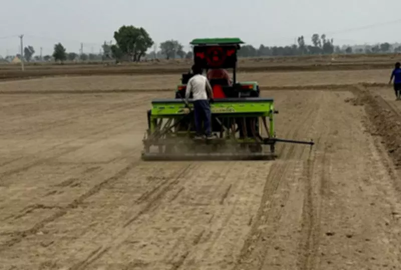 Paddy Dominates Kharif in Sonepat, Panipat as DSR Technique Gains Ground