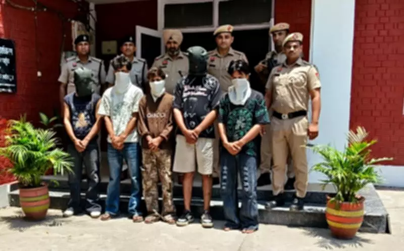 Panchkula Police Arrest 5 Armed Men, Foil Major Robbery Plot