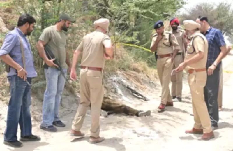 PAP Weapon Snatching Accused Injured in Fazilka Police Encounter