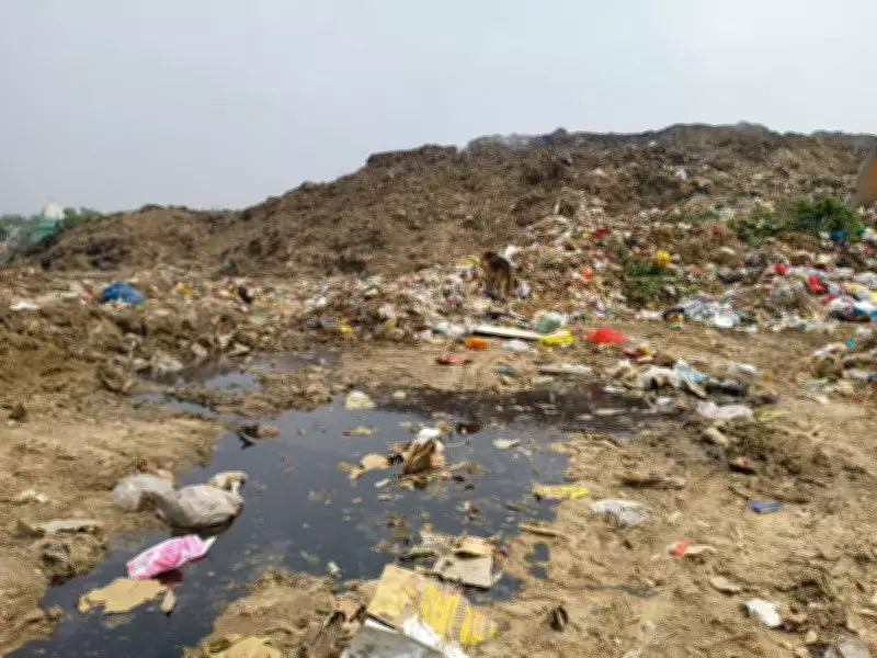 Patiala Cremation Ground Plagued by Stench from 300,000 Tonne Waste Dump