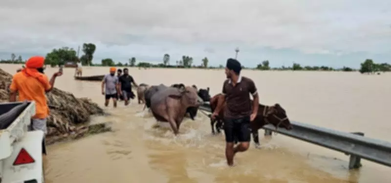 Patiala Residents Fear Repeat of 2023 Floods as Drains Remain Choked