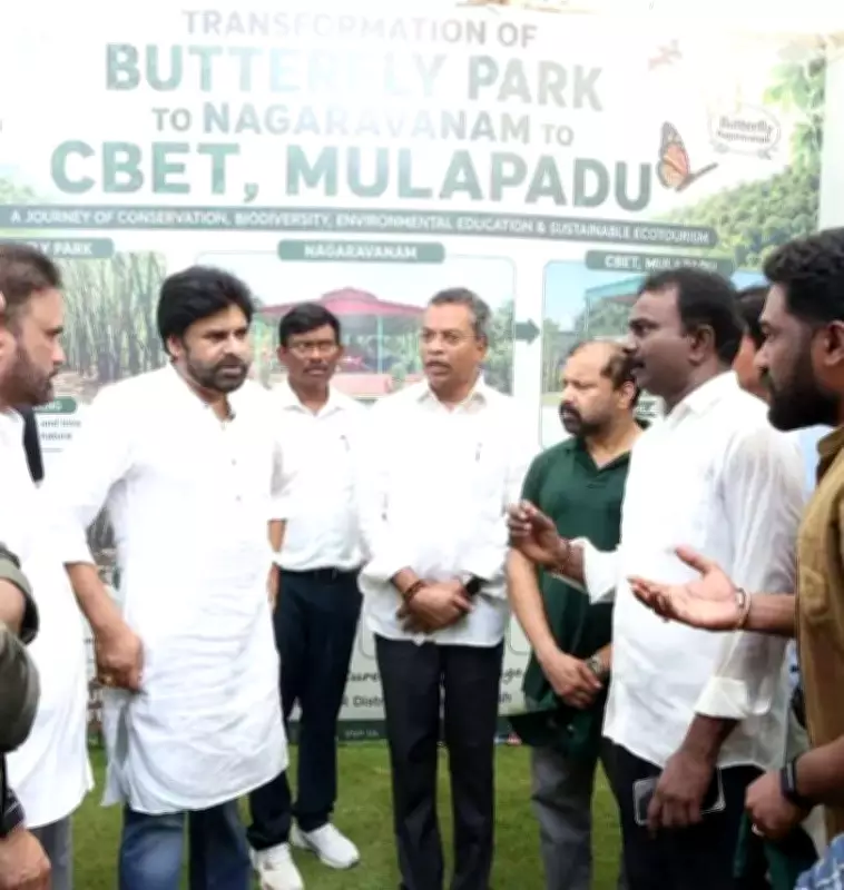 Pawan Kalyan Intervenes on NTTPS Ash Pollution, Seeks Cabinet Discussion