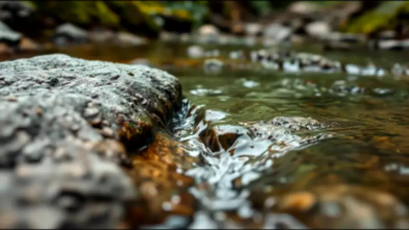 Persistence Over Power: Why Rivers Cut Through Rock