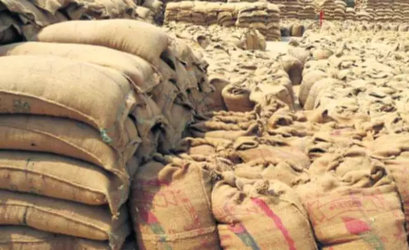 Phagwara trader loses ₹54 lakh in paddy payment fraud, case registered