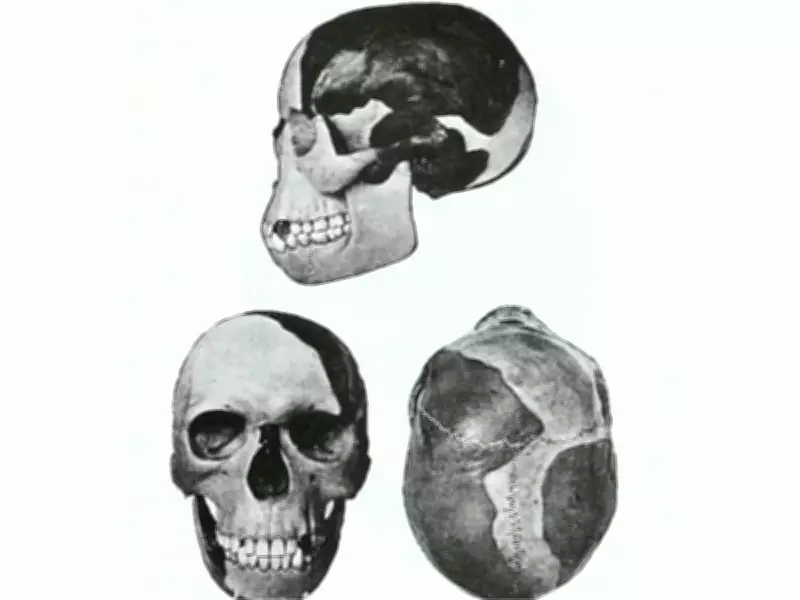 Piltdown Man Hoax: Single Forger Likely Behind Century-Old Scientific Fraud