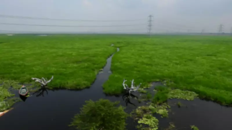 PM Modi Announces Surha Tal as India's 100th Ramsar Site
