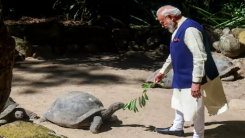 PM Modi meets Jonathan, world's oldest living land animal, in Seychelles