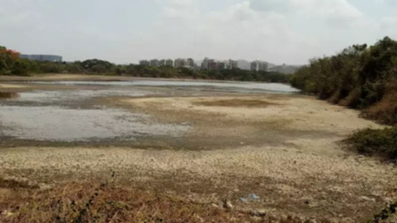 Polluted Creek Water Threatens Navi Mumbai Wetlands: Study