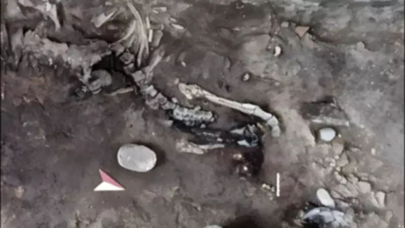 Pompeii Bakery Discovery: Two Equids Found Frozen in Time