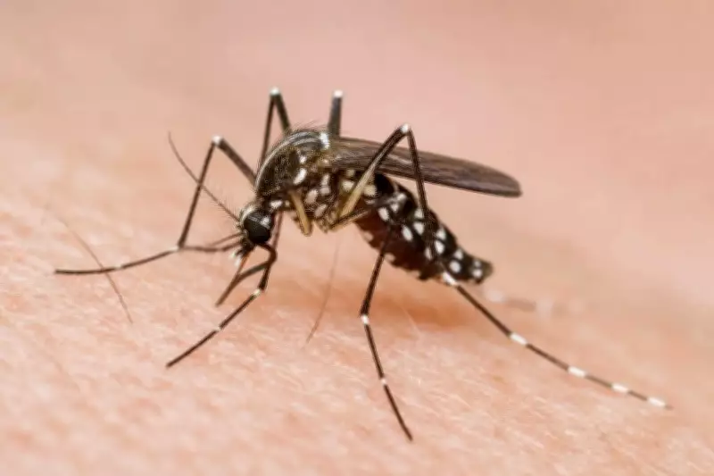 Ponda Health Officials Intensify Dengue Awareness Drive After Larvae Found