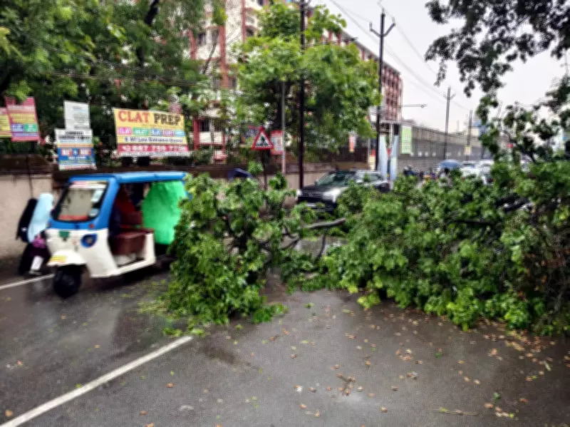 Power Outages Hit Ranchi After Wires Snapped and Storm