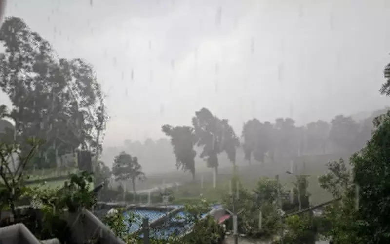 Powerful Nor'wester Hits Bhubaneswar, Cuttack; Trees Uprooted, Vehicles Damaged