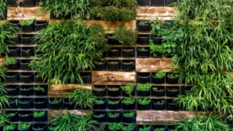 Protect Your Vertical Garden from Summer Heat: Key Tips