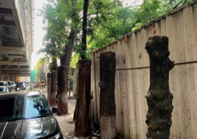 Pune Activists Unite to Form Unified Environment Platform