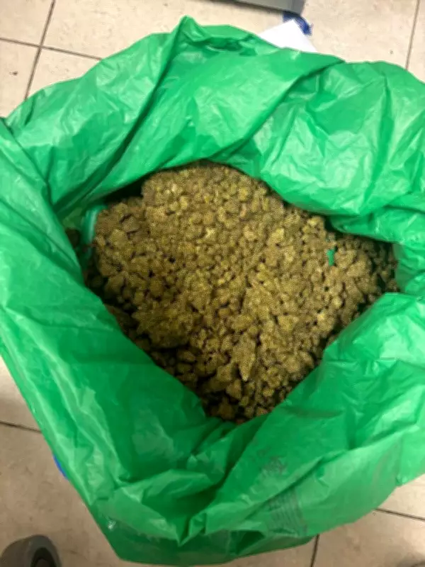 Pune Crime Branch Seizes 84kg Ganja Worth Rs42 Lakh, Arrests Two Men in Chakan