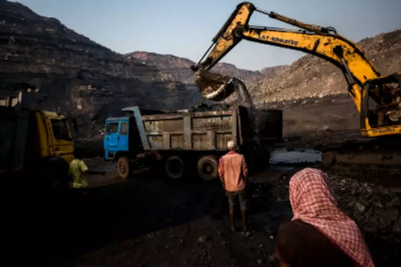 Punjab and Haryana High Court Orders CBI Probe into Illegal Mining Petition