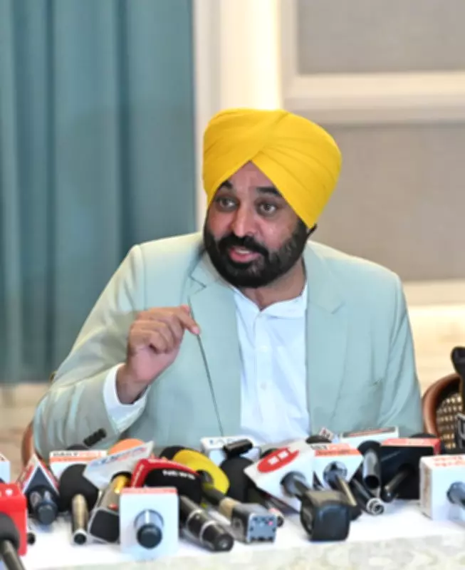 Punjab CM Mann hands over job letters to 523 youths in Health Department