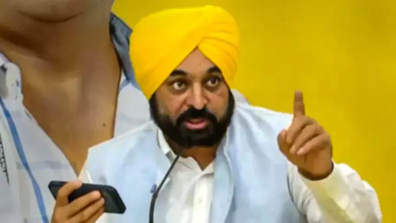 Punjab CM Mann Video Row: Canada-Based Jagman Samra Denies Mask Claim