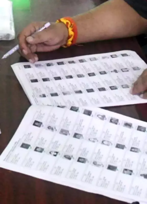 Punjab Crosses 85% Voter Mapping Mark in Electoral Rolls Revision