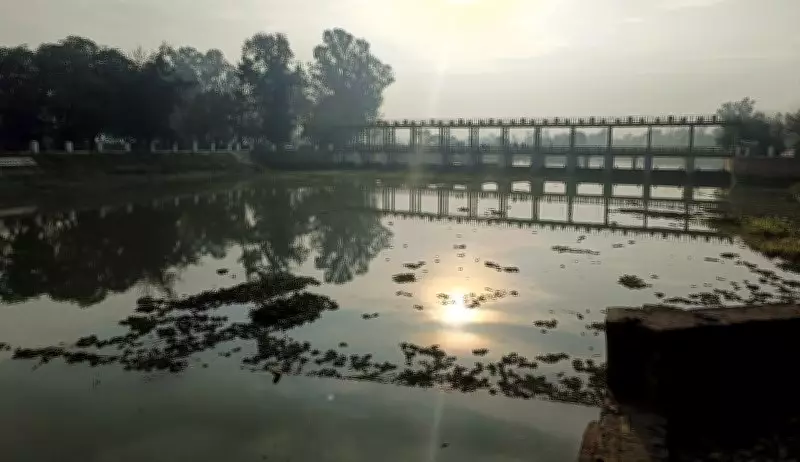 Punjab Govt Approves ₹19.56 Crore Project to Boost Kanjli Wetland Tourism